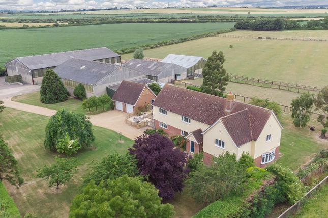Thumbnail Detached house for sale in Sutton Road, Haddenham, Ely, Cambridgeshire
