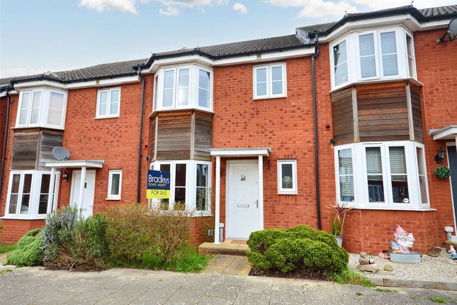 Thumbnail Terraced house for sale in River Plate Road, Exeter, Devon