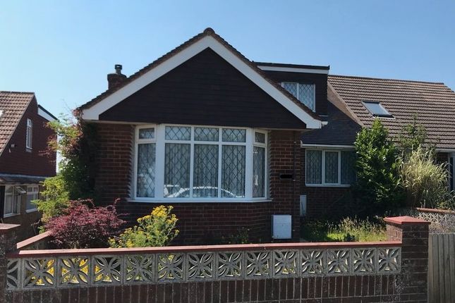 Semi-detached house to rent in Wilson Avenue, Brighton, East Sussex