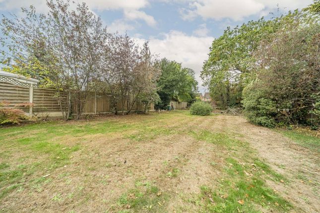 The Avenue, Sunbury-On-Thames photo 2