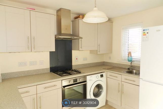 Bryn Y Telor, Coity, Bridgend photo 4