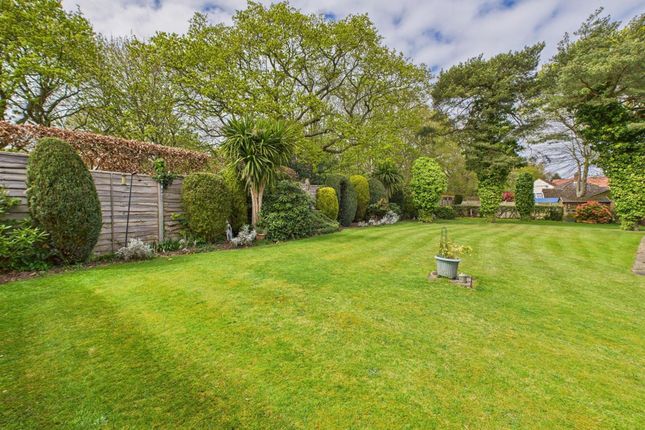 3 Fletcher Way, Cromer photo 3