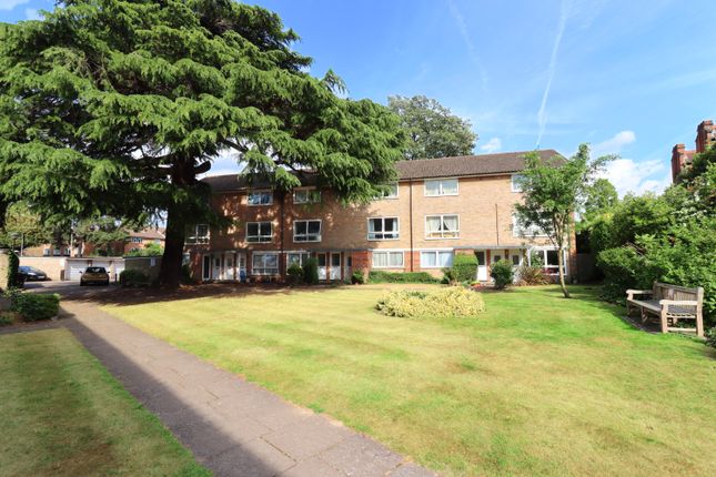 Communal Gardens