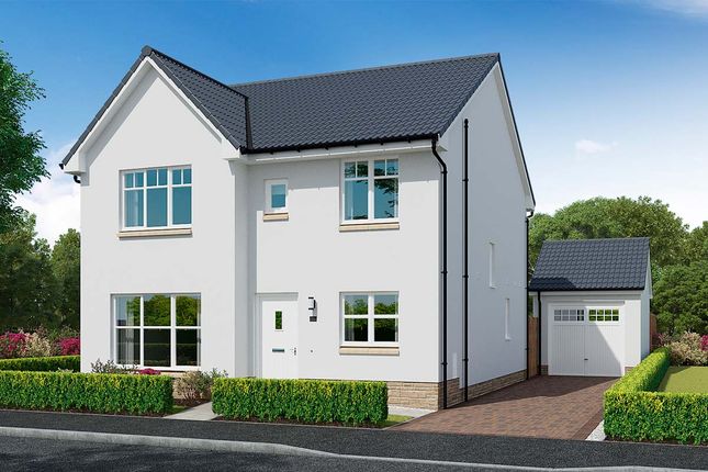 Thumbnail Detached house for sale in "Glencoe" at Earl Matthew Avenue, Arbroath