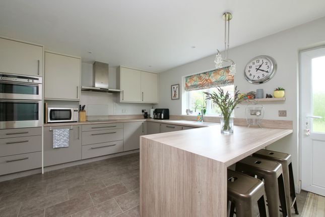 2 Bibberne Row, Lower Road, Stalbridge photo 3