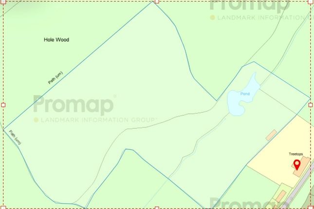 Land for sale in Tree Tops, Wilderness Lane, Hadlow Down, Uckfield