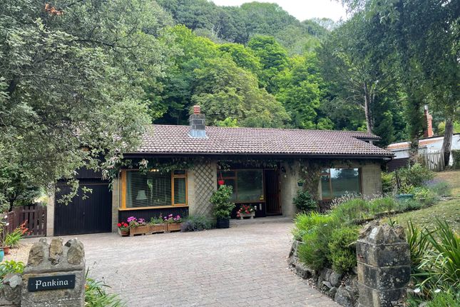 Thumbnail Detached bungalow for sale in Undercliff Drive, St. Lawrence, Ventnor