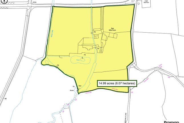 Promap-2954217-3053189-750-0.Jpg