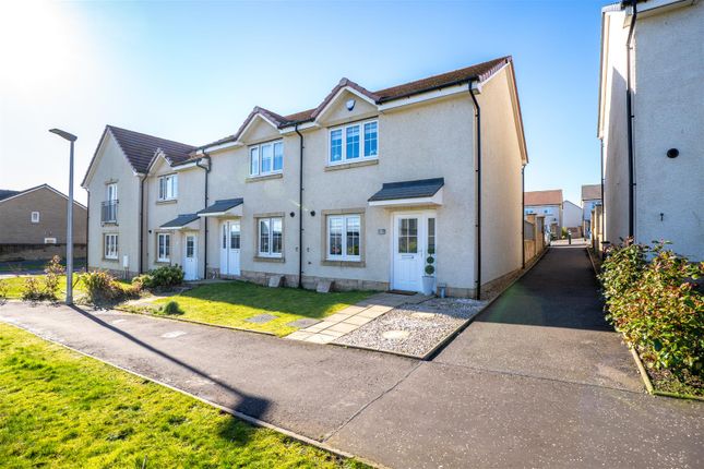 Thumbnail End terrace house for sale in Guernsey Place, Hamilton