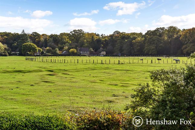 Haworth, The Common, Fordingbridge photo 3