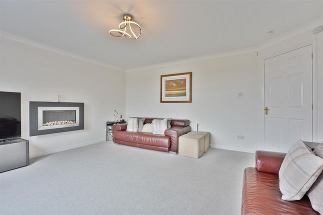 61, Pillans Avenue, Carluke photo 4