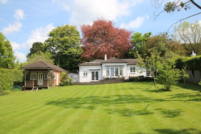 Semi-detached bungalow for sale in Downs Lane, South Leatherhead