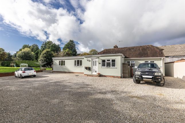Thumbnail Detached bungalow for sale in Eastbourne Road, Halland