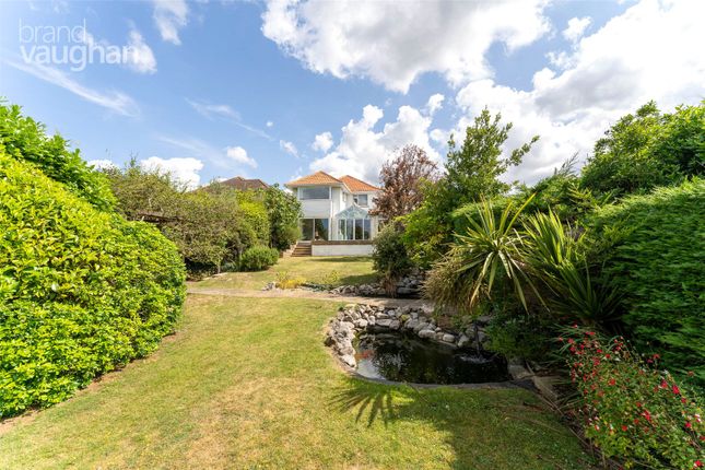 Detached house to rent in Meadow Close, Hove, East Sussex BN3