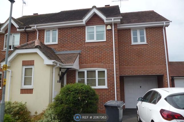 Thumbnail Semi-detached house to rent in Green Lane, Downton, Salisbury