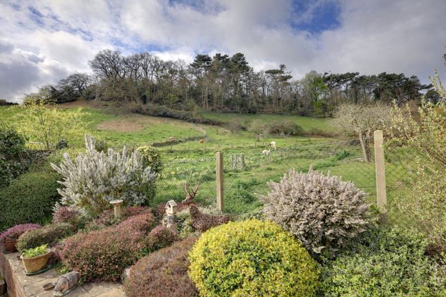 Hilbrook,, Moor Road, Somerset photo 2