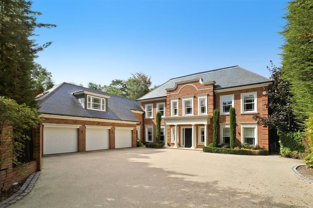 Dukeswood.Jpg