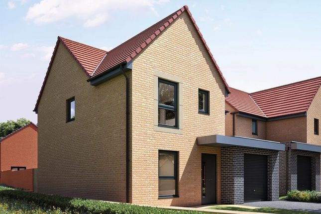 Thumbnail Detached house for sale in "Maddison" at Meadowsweet Road, Redcar