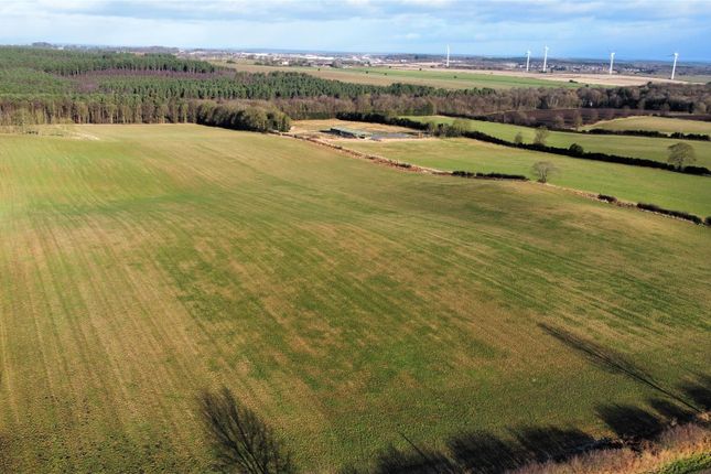 Thumbnail Land for sale in Ricket Lane, Blidworth, Mansfield