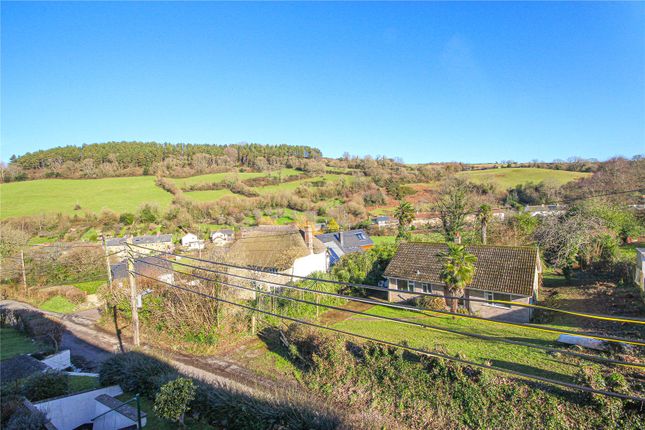 Stepps Orchard,, Stepps Lane, Axmouth photo 3