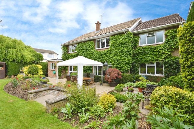 Thumbnail Detached house for sale in Dane Park, Bishop's Stortford, Hertfordshire