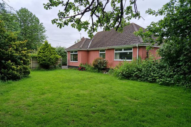 Thumbnail Detached bungalow for sale in Hewish, Weston-Super-Mare