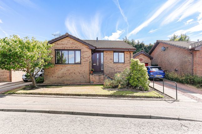 Detached bungalow for sale in Easton Drive, Shieldhill