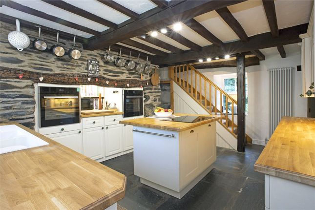 Minafon,, Pantperthog, Powys photo 4