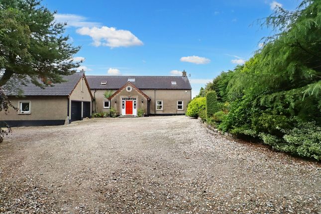 Thumbnail Detached house for sale in 44A Carrowdore Road, Greyabbey. Newtownards, County Down