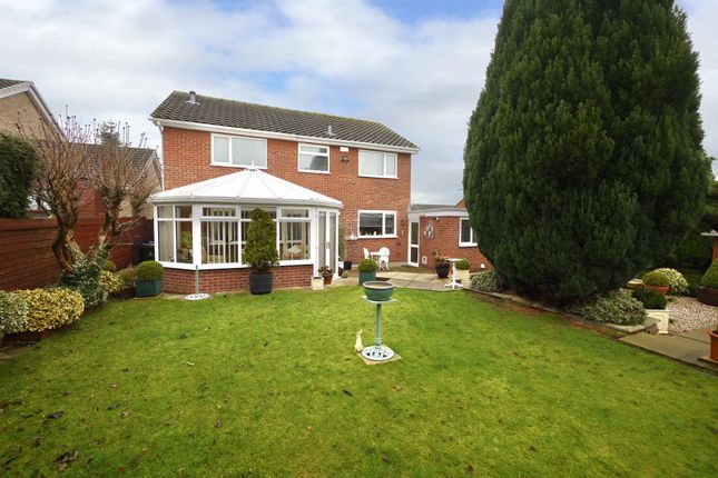 34, Finghall Road, Doncaster photo 3
