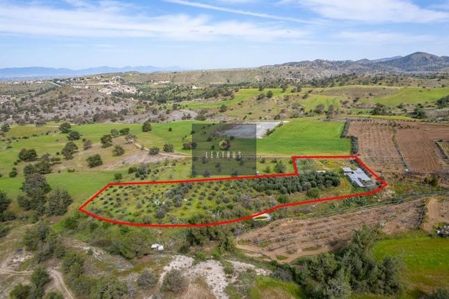 Land for sale in Nikitari 2777, Cyprus