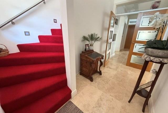 Ty Olaf, 19, Park View Drive, Kidwelly photo 5