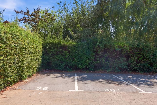 36, Lunardi Court, Puckeridge photo 4
