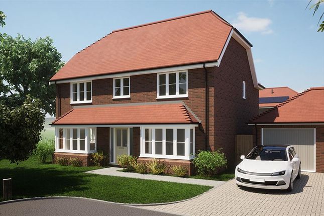 Thumbnail Detached house for sale in Holly Lane, Newick, East Sussex