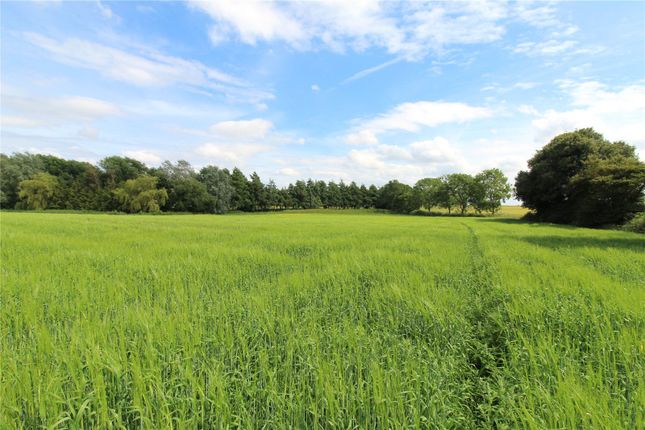 Thumbnail Land for sale in Land At Ludham, Norwich Road, Ludham, Great Yarmouth