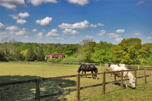 Paddocks