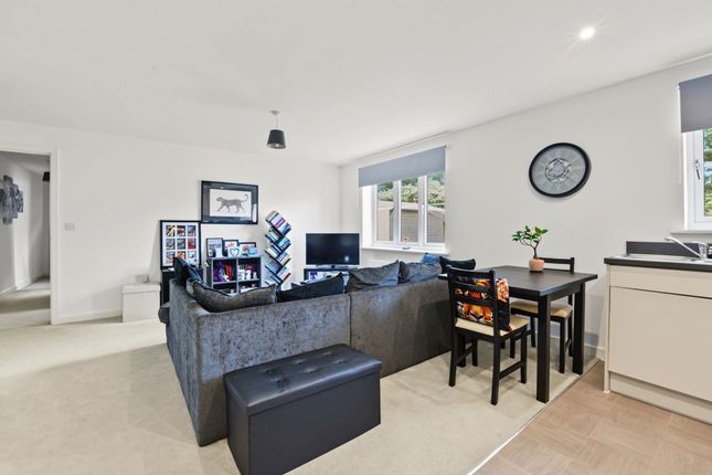 Redgrove Close, Bexhill on Sea photo 2