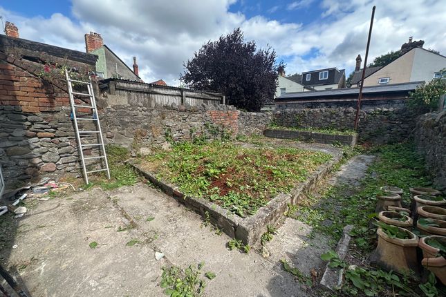 65, Marion Street, Cardiff photo 4