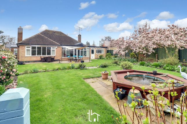 Detached bungalow for sale in Barry Drive, Kirby Muxloe, Leicester