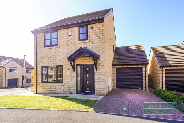 Thumbnail Detached house for sale in Potters Meadow, Workington