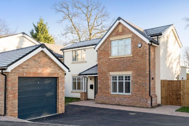 Thumbnail Detached house for sale in Dupre Crescent, Beaconsfield
