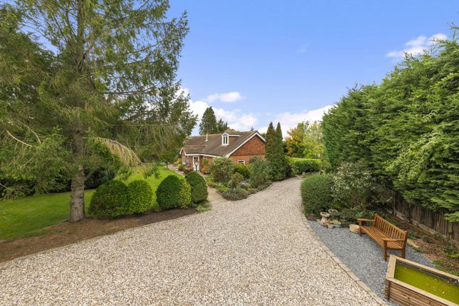 Detached house for sale in Nuthampstead, Royston