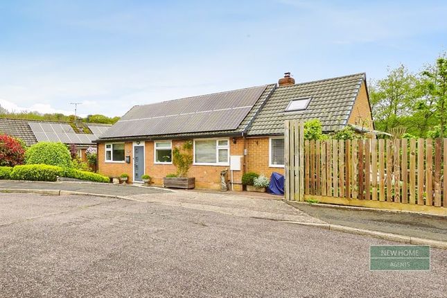 Thumbnail Bungalow for sale in Wood Close, Christow, Exeter
