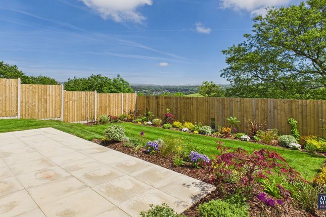 Plot 304 The Drake, Tavistock photo 4