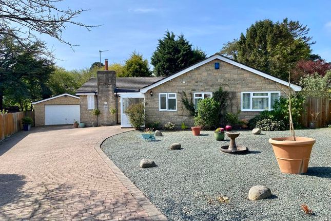 Thumbnail Bungalow for sale in Blue Waters Drive, Lyme Regis