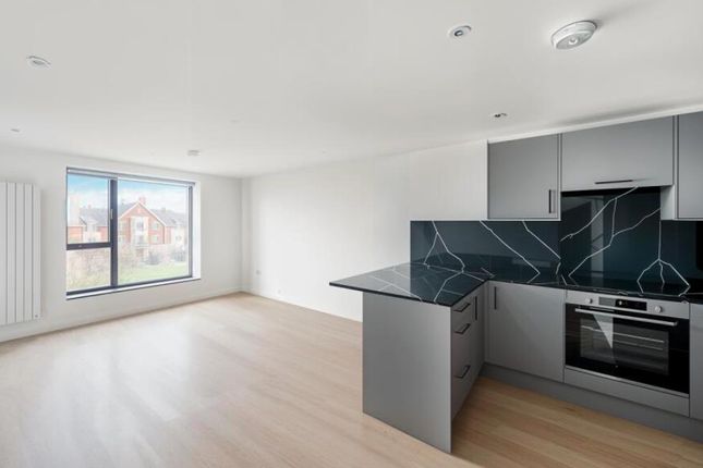 Open Plan.Png