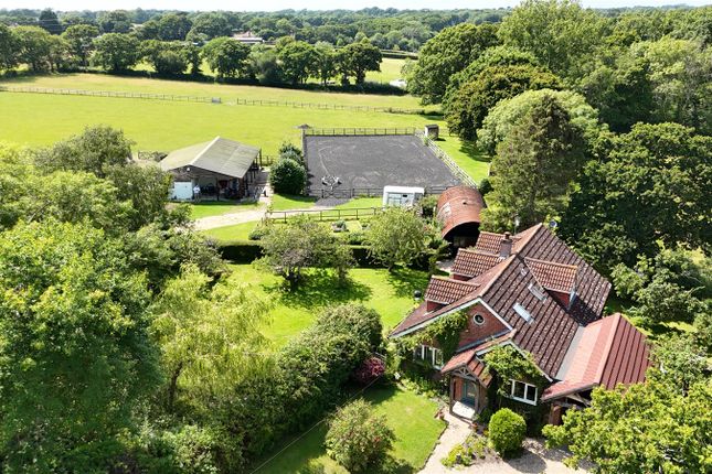 Thumbnail Equestrian property for sale in Barrows Lane, Sway, Lymington, Hampshire