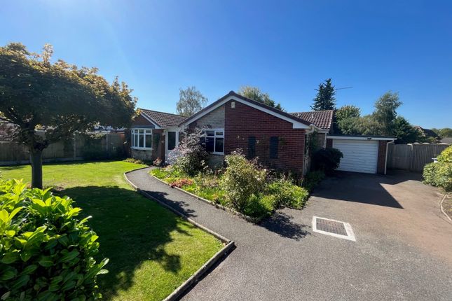 Thumbnail Bungalow to rent in Newbold Way, Nantwich, Cheshire