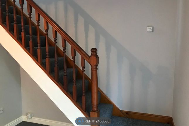Open Staircase To Landing, New Decor &amp; Carpets