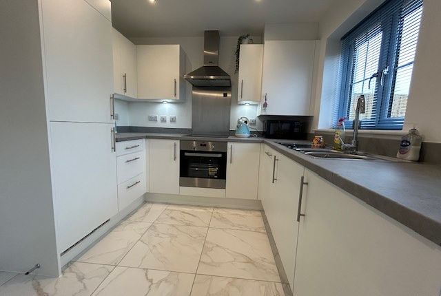 9, Medland Way, Exeter photo 3
